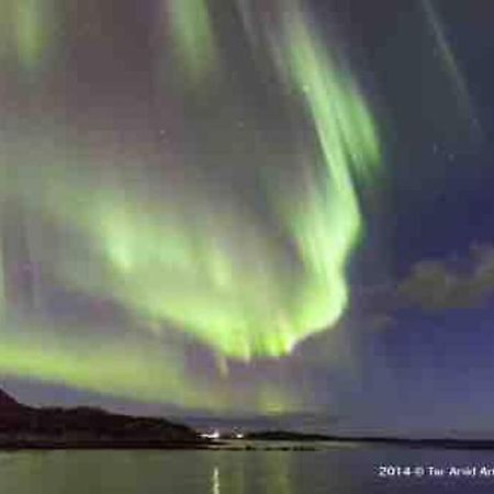 Cozy House - Stronstad @The Start Of Lofoten Stronstad i Vesteralen 외부 사진