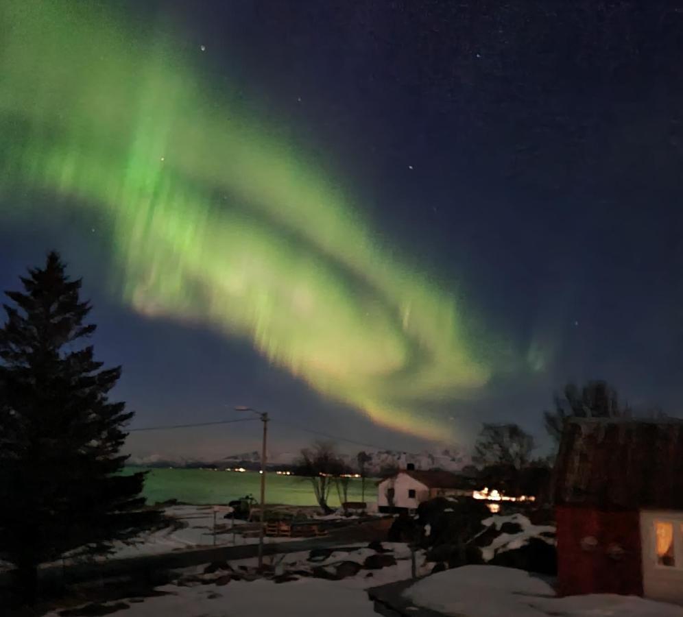 Cozy House - Stronstad @The Start Of Lofoten Stronstad i Vesteralen 외부 사진